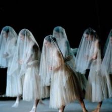 The Wilis in Giselle (company unknown)