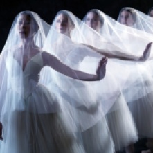 The Wilis in Giselle (company unknown)